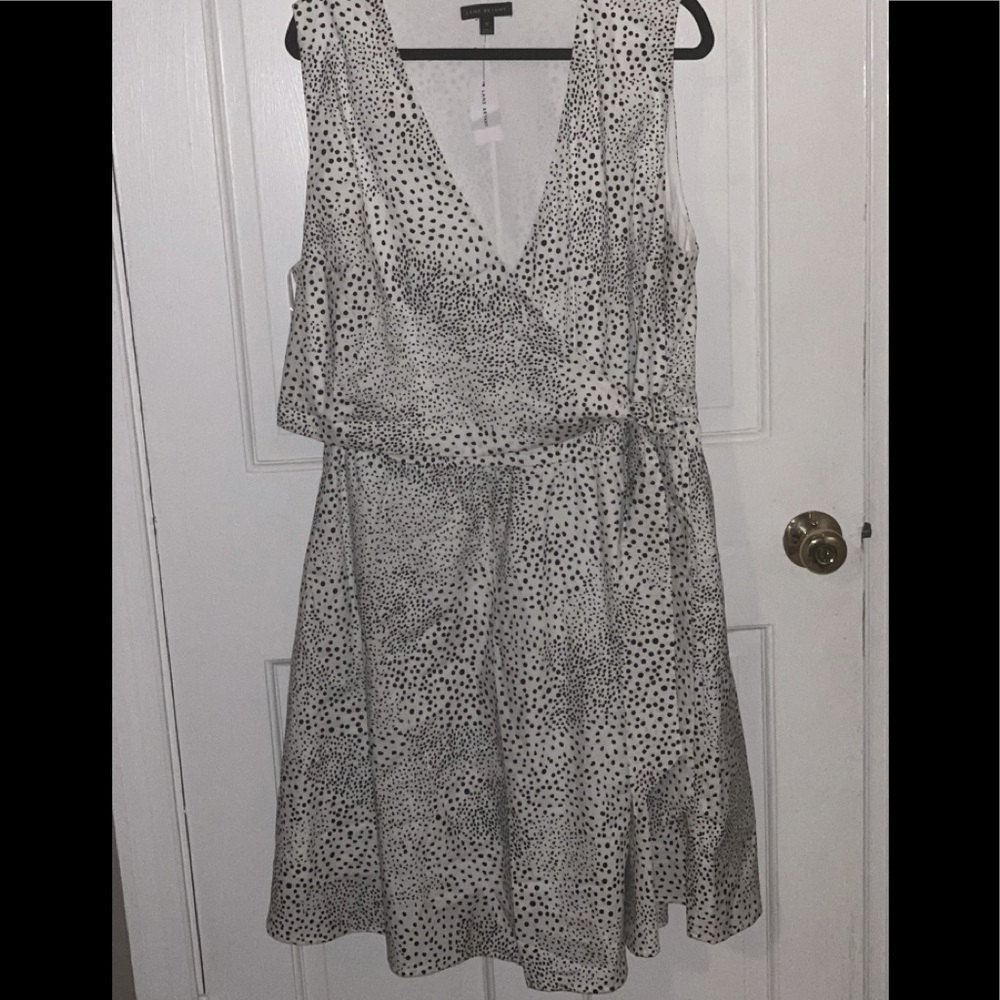 NWT Lane Bryant A-line dress